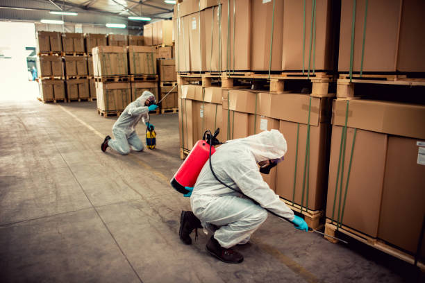 Best Best Pest Control Companies  in Byesville, OH
