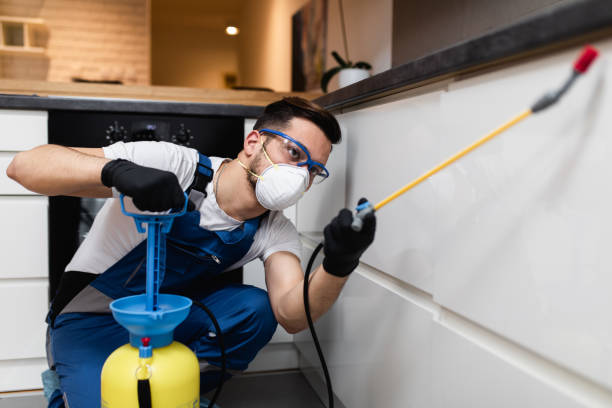 Best Wildlife Control Services  in Byesville, OH