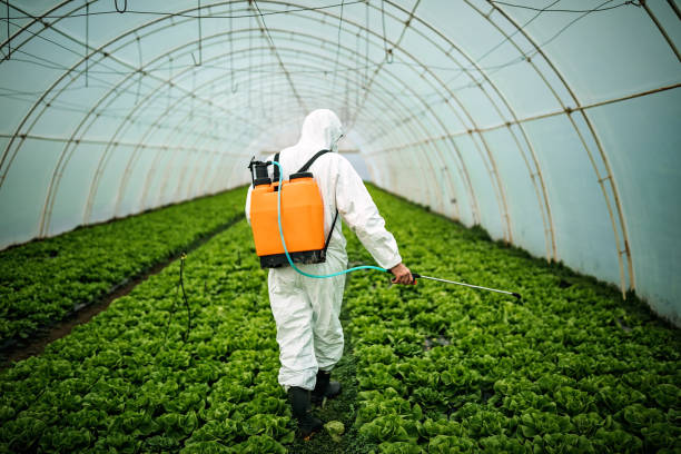 Best Pest Control Near Me  in Byesville, OH