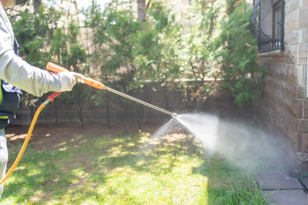 Best Affordable Pest Control Services  in Byesville, OH
