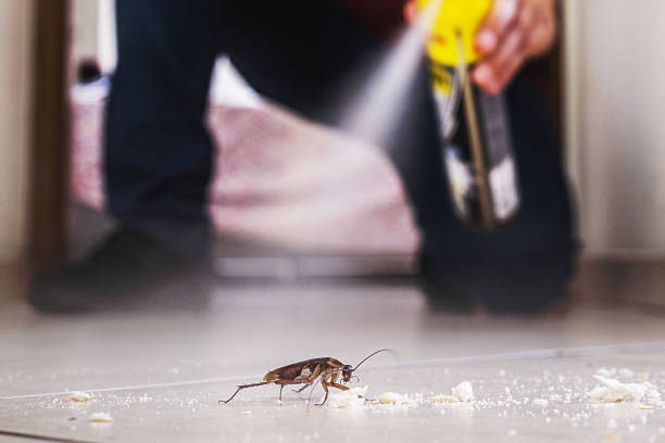 Best Exterminator Services  in Byesville, OH