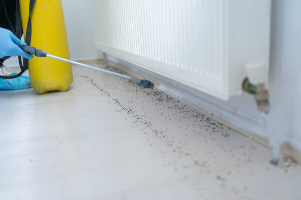 Best Commercial Pest Control Services  in Byesville, OH