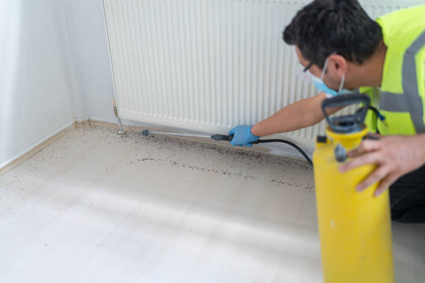 Flea Control Services in Byesville, OH