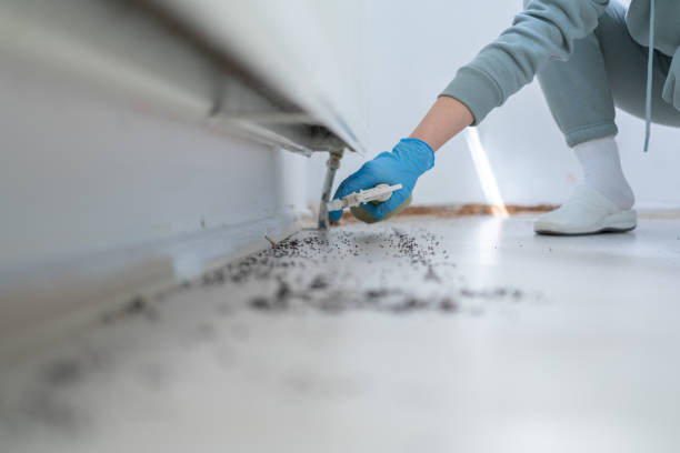 Reliable Byesville, OH Pest Control Solutions
